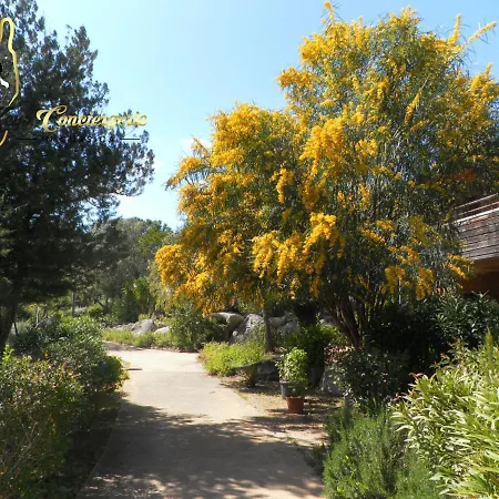 Cala Sultana N62 - 4 Pers Avec Piscine Chauffee- Acces Prive A La De Santa Giulia アパート *